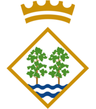 Ajuntament de Riudoms