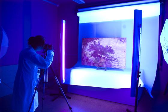 Fotografia amb llum ultraviolada. (Foto: CR.)  Fotografia amb llum ultraviolada. (Foto: CR.)