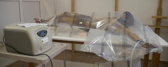 Procés de desinsectació per anòxia Procés de desinsectació per anòxia