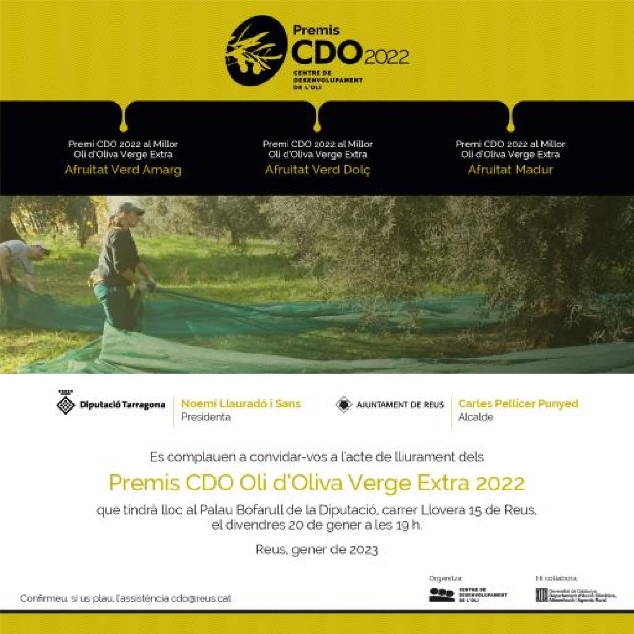 Lliurament dels premis CDO Oli d'Oliva Verge Extra 2022