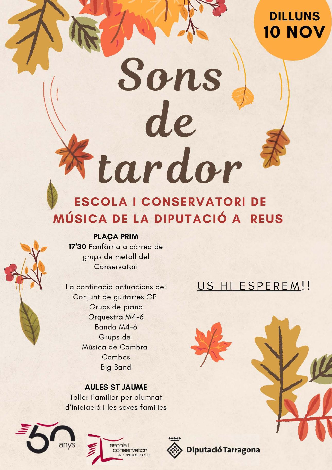 Cartell de l'activitat