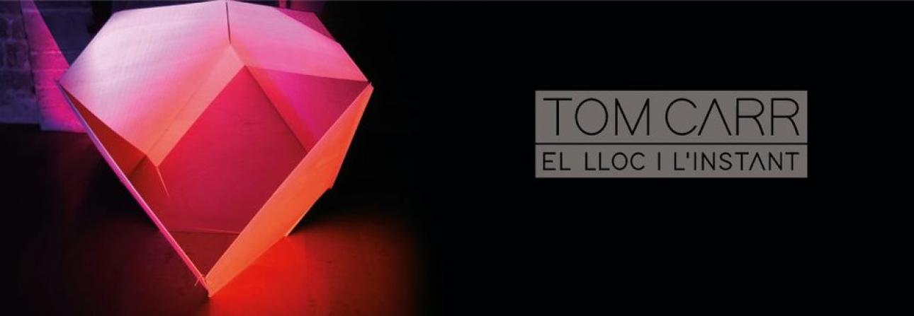 Exposició al MAMT:'Tom Carr, el lloc i l'instant'