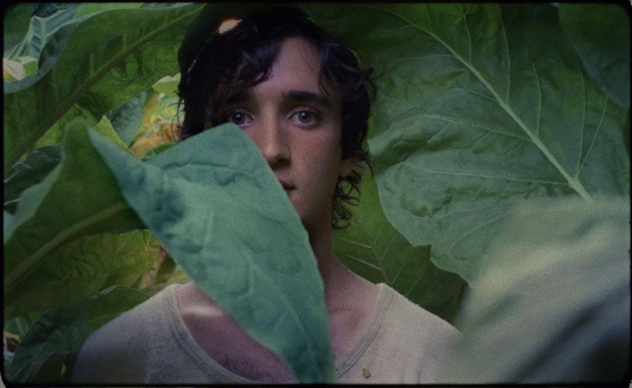 Cicle Mirades: Lazzaro Felice, d'Alice Rohrwacher