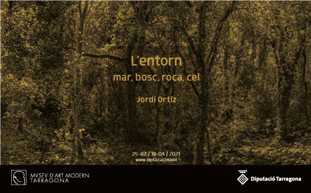 Exposició'L'entorn. Mar, bosc, roca, cel' de Jordi Ortiz al Museu d'Art Modern de la Diputació