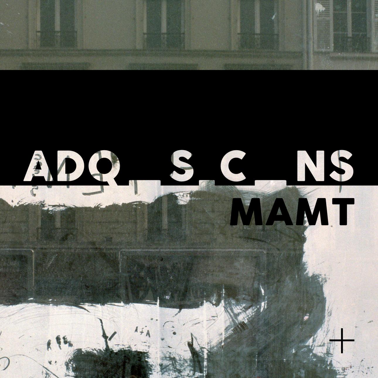 Exposició "Adquisicions MAMT"