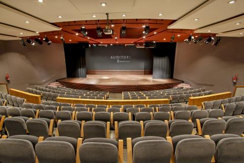 Auditori Diputació