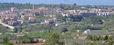 Vallmoll