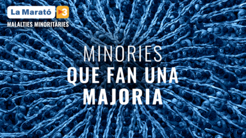 La Diputació de Tarragona dóna suport a la Marató de TV3 amb una aportació de més de 33.000 euros i amb diverses activitats solidàries