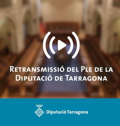 Ple ordinari de la Diputació corresponent al mes de març