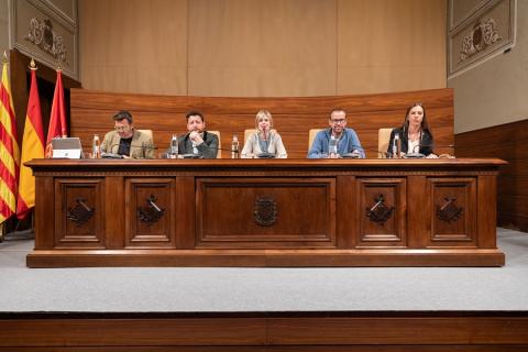 Imatge de la sessió plenària d'aquest 29 d'abril 2025