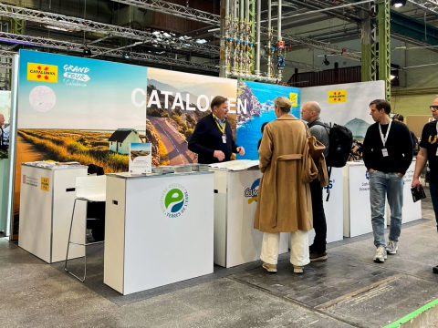 Imatge d'una de les fires