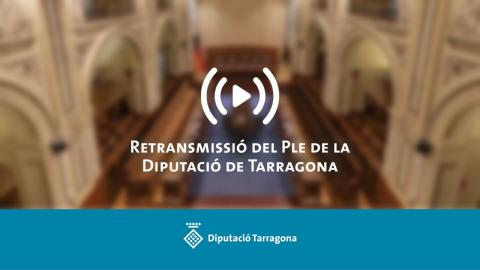 Retransmissió en directe del Ple extraordinari del 20 de gener