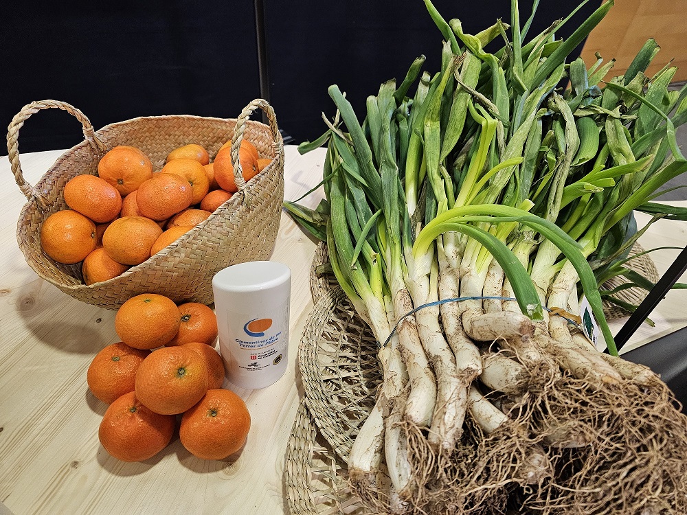 Algunes de les IGP que s'han mostrat a la jornada