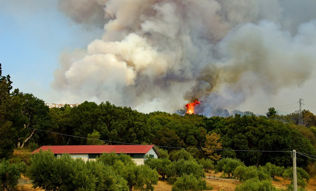 Les agrupacions de defensa forestal ja poden sol·licitar els ajuts de la Diputació per a actuacions de prevenció d’incendis